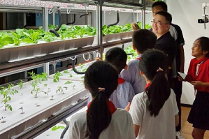 郑州ylzzcom永利总站电子设计创新实验室开放参观！中小学生现场观看操作无土栽培新技术